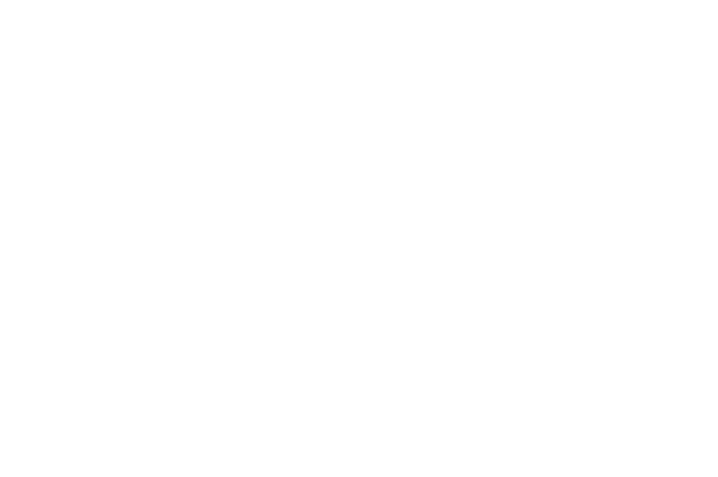 Official Sections of the Boston Independent Film Awards 2021