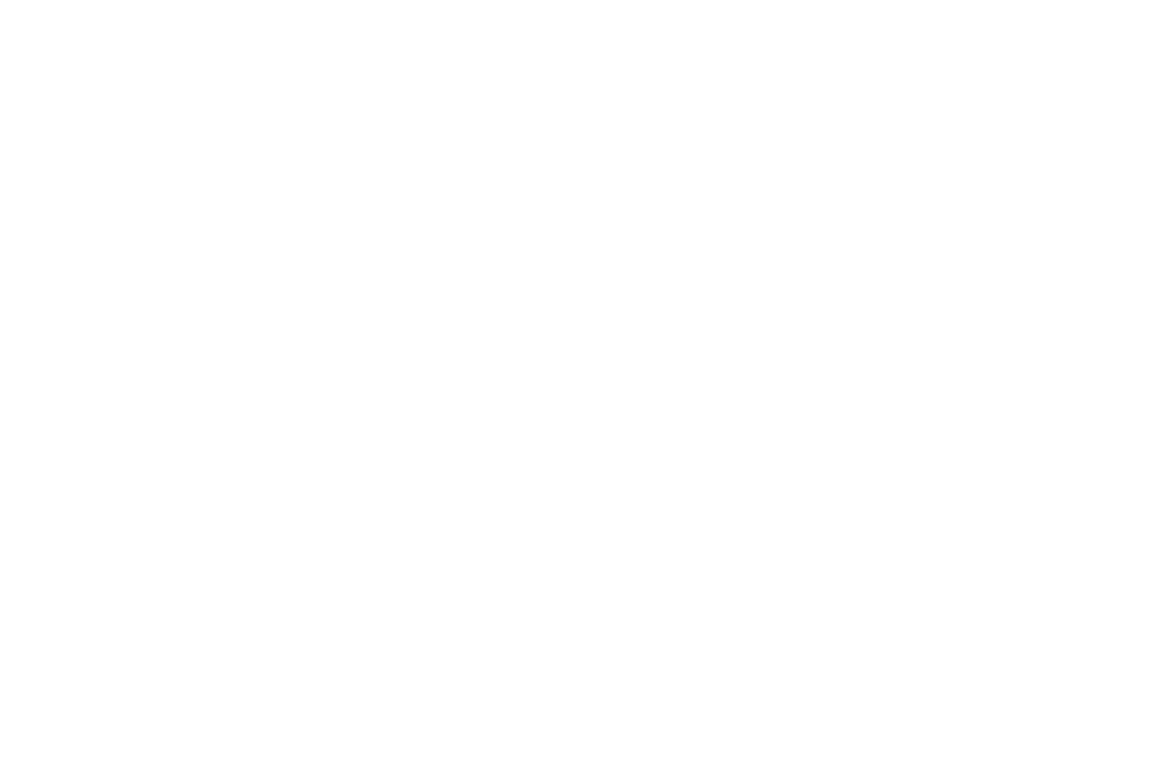 Official Sections of the Boston Independent Film Awards 2021